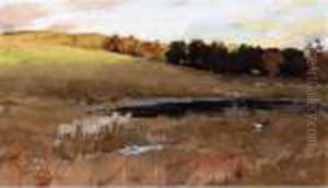Landscape At Moniave Landscape At Moniave