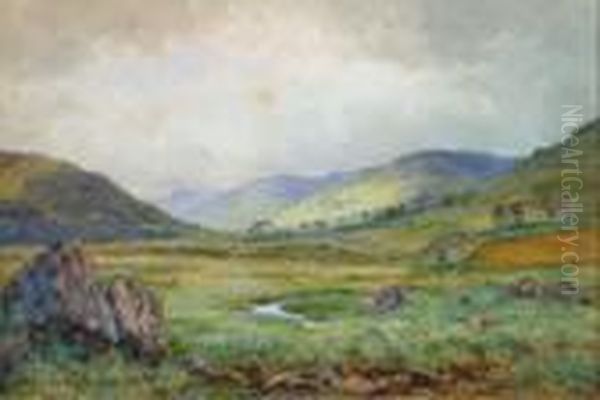 Cattle Grazing, Balquidder Perthshire - view 1