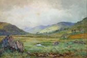 Cattle Grazing, Balquidder Perthshire
