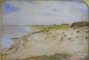 Sand Dunes Sand Dunes