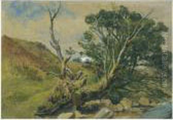 A Wooded Stream, Arran - view 1