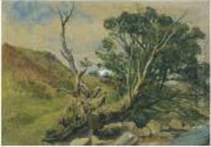 A Wooded Stream, Arran by Waller Hugh Paton