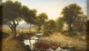 Summer Evening, Penlester, Arran