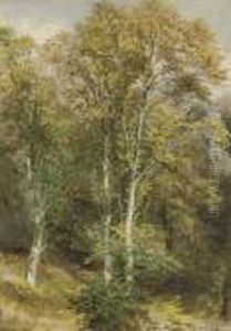 Two Woodland Scenes (one Illustrated) by Waller Hugh Paton