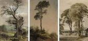 Three Studies Of Trees In Various Landscapes (all Illustrated)