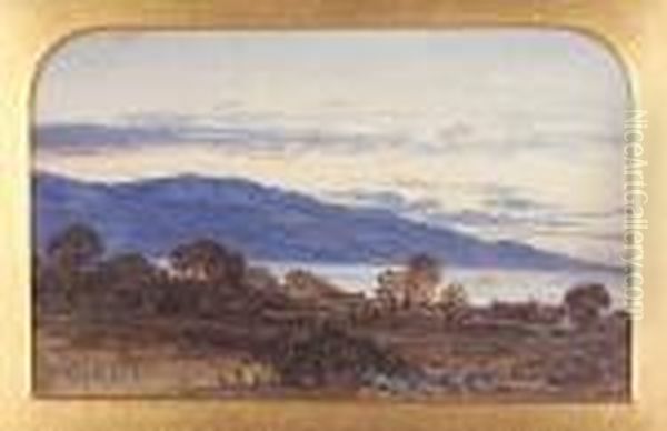 "cardon" (arran) - view 1