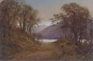 A Moonlit Loch