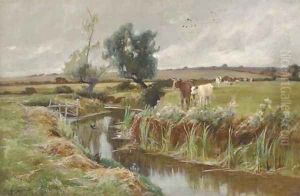 Cattle by a stream by Arthur Walker Redgate