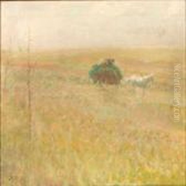 Field Landscape - view 1