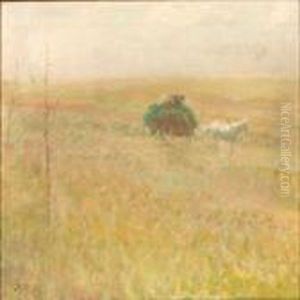 Field Landscape