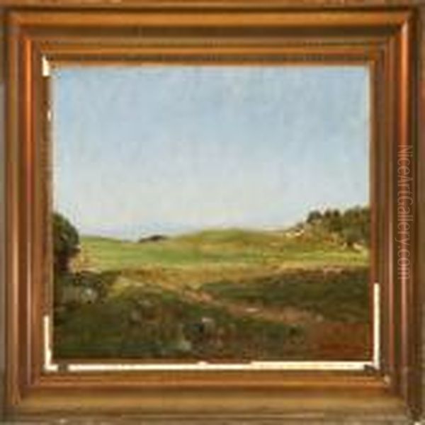 Summer Landscape - view 1