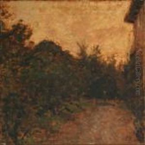 Landscape And Forestscenery Landscape And Forestscenery