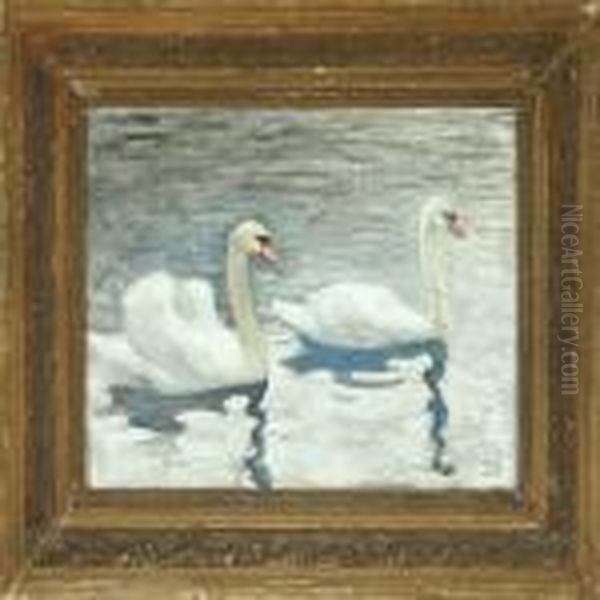 Swans - view 1