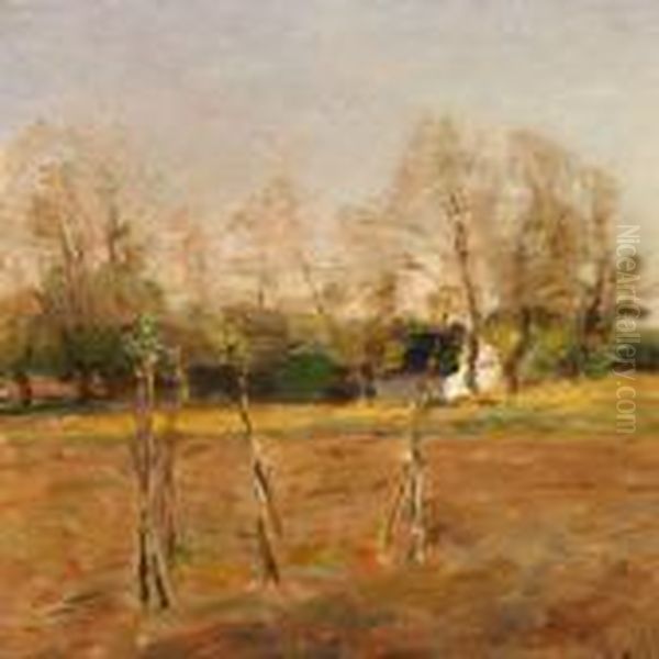 Landscape With Slendertrunks - view 1