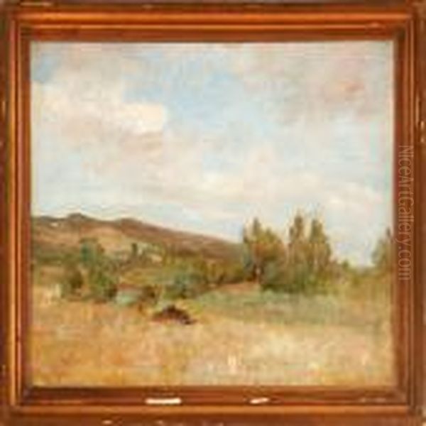 A Hilly Summer Landscape - view 1