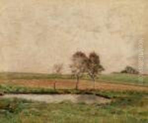 Beech, Tibirke Beech, Tibirke
