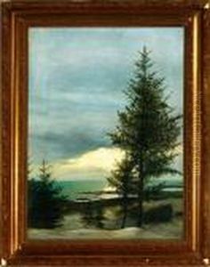 A Coastal Scenery With Pines, Winter A Coastal Scenery With Pines, Winter