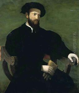 Portrait of a Gentleman 1543-46 by Francesco de' Rossi