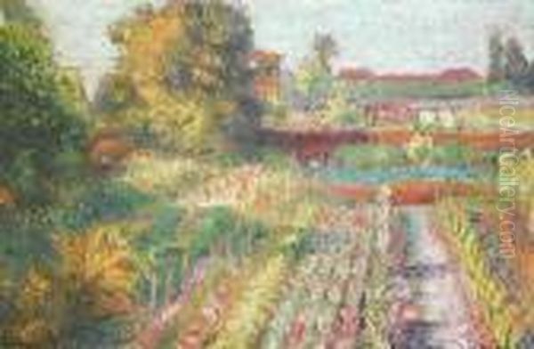 Ogrod - view 1