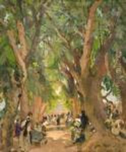 Gros Arbres Du Souk