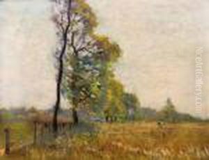 Le Vent Dans Les Arbres Et Les Bles