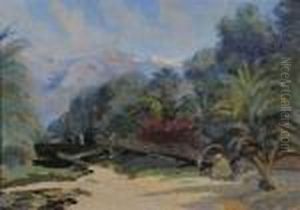 Vue Des Montagnes De L'atlas Dans Un Oued