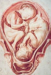 Ms Hunter 654 Plate 10 Drawing from a Set of Obstetrical Drawings for William Smellies 1697-1763 Obstetrical Tables