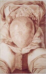 MS Hunter 658 Plate XXVI Drawing from William Hunters 1718-83 Anatomy of the Human Gravid Uterus, 1774 by Jan van Rymsdyk