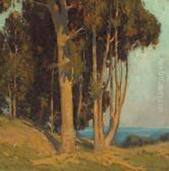 Trees Along The Coast - view 1
