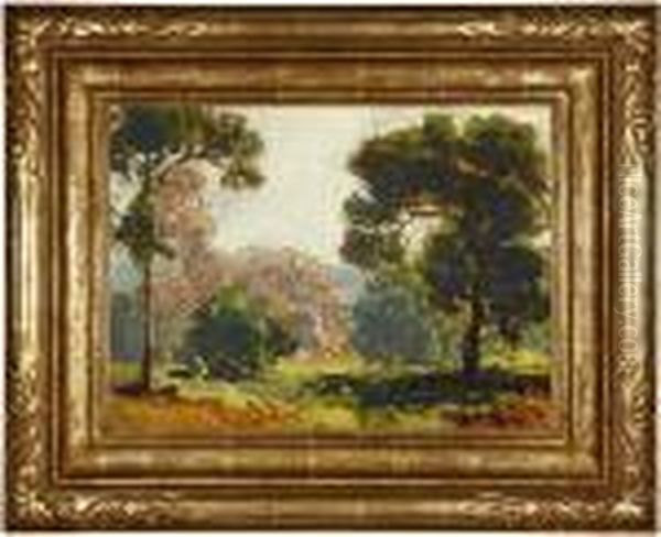 Spring California Landscape With Trees - view 1