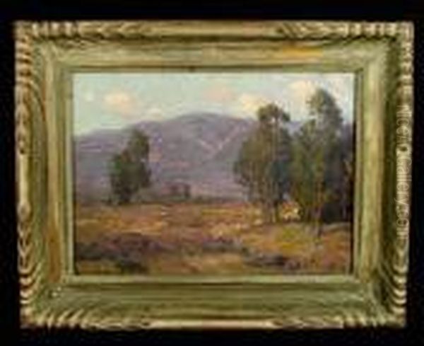 Eucalyptus Trees In A Mountainous Landscape - view 1
