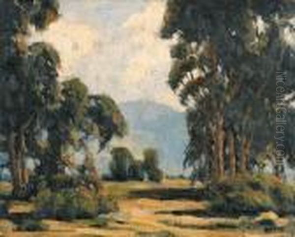 Eucalyptus - view 1