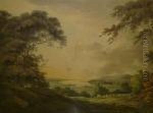 An Extensive Panoramic Landscape