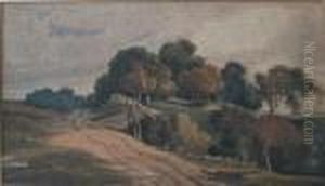A Country Lane