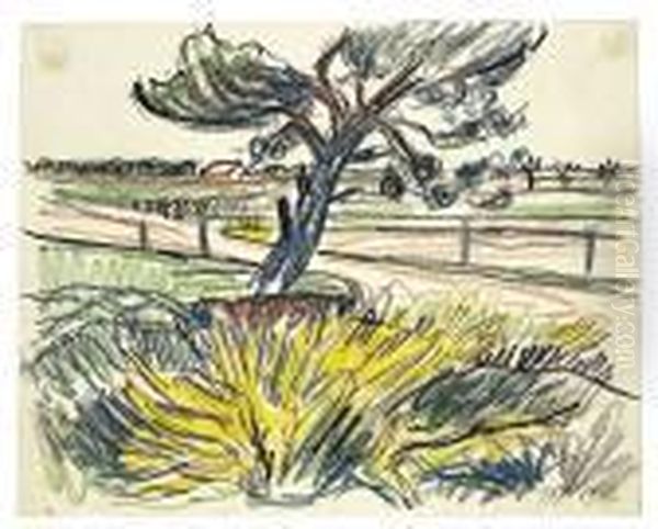 Ginster - view 1