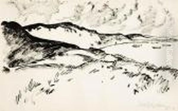 Dunenlandschaft - view 1