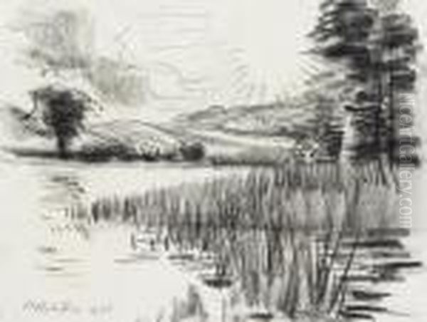 See - view 1