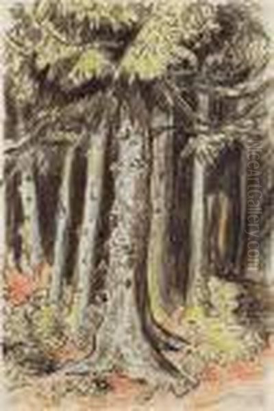 Wald - view 1
