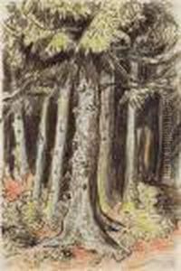 Wald Wald