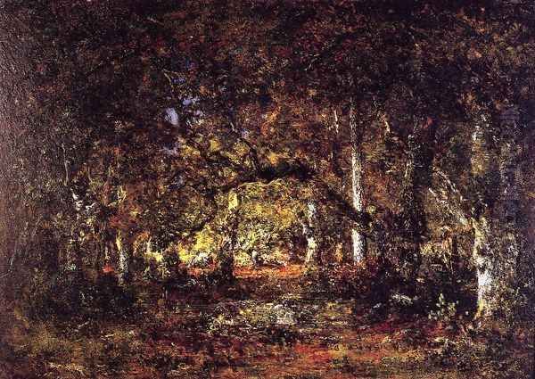 Forest Interior - view 1