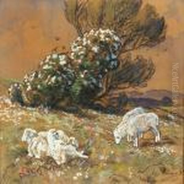 Grazing Sheep - view 1