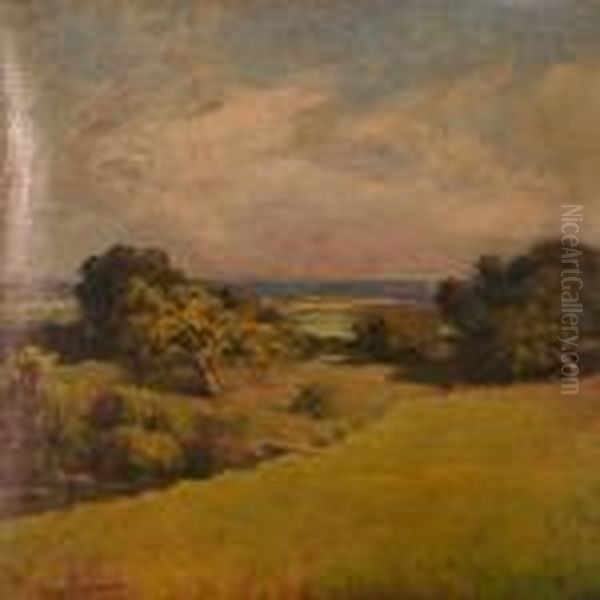 Summer Landscape Near The Sea - view 1