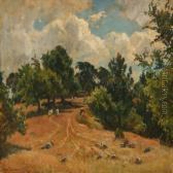 Farebakken Ved Aunso - view 1
