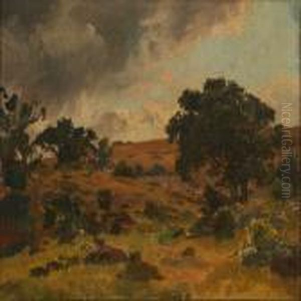 Landscape From Mols,denmark - view 1