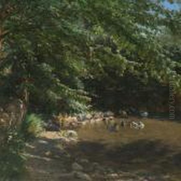 Sunny Afternoon At Apond - view 1