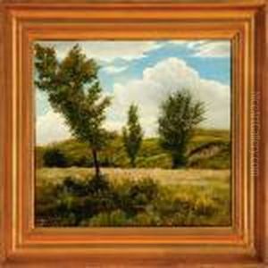 A German Summerlandscape From Bad Lippspringe A German Summerlandscape From Bad Lippspringe