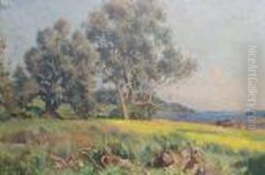 Country Landscape Country Landscape