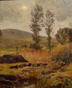 Peat On A Danish Moor by Viggo Christian Frederick Pedersen