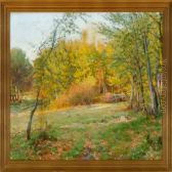 An Autumn Forest Glade - view 1