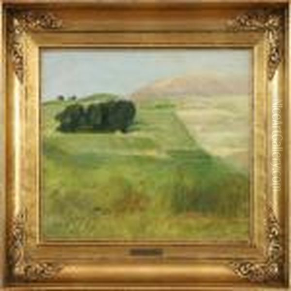 Landscape - view 1